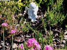 Bilder - Galerie_21