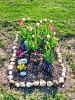 Bilder - Galerie_28