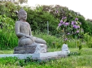 Bilder - Galerie_15